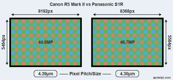 R5 Mark II versus S1R MP