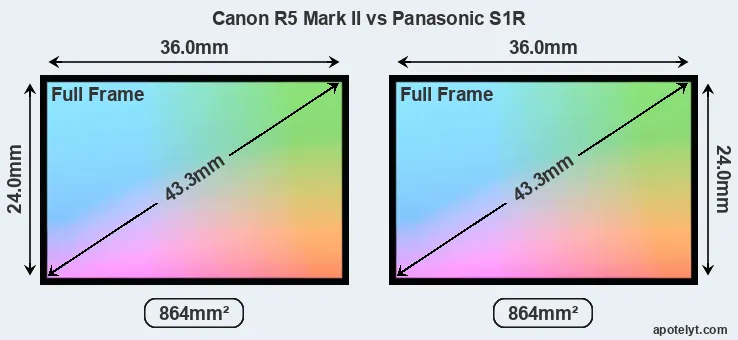 Canon R5 Mark II and Panasonic S1R sensor measures