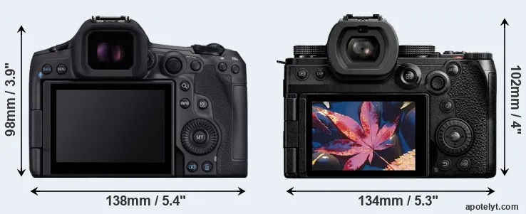 Comparison R5 Mark II or S5 II rear