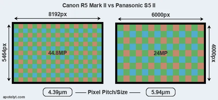 R5 Mark II versus S5 II MP