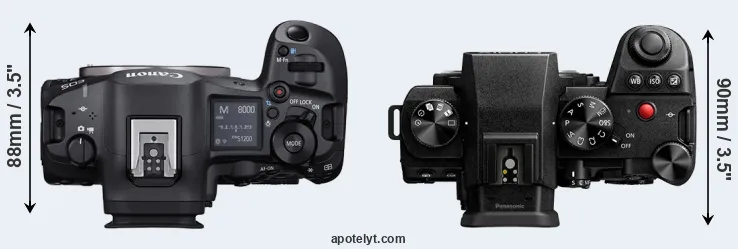 Compare R5 Mark II versus S5 II top
