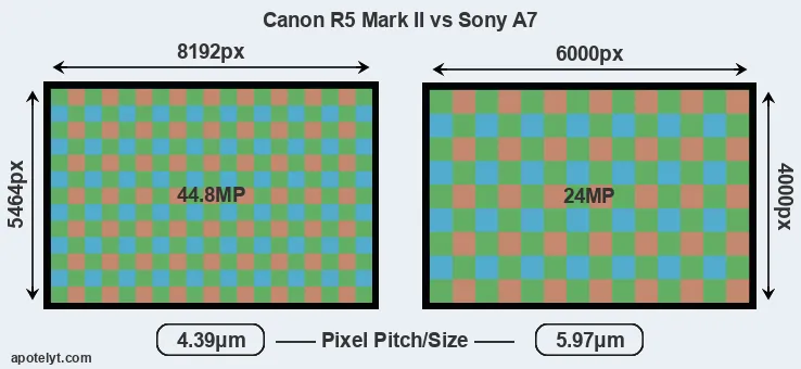 R5 Mark II versus A7 MP
