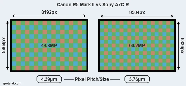 R5 Mark II versus A7C R MP