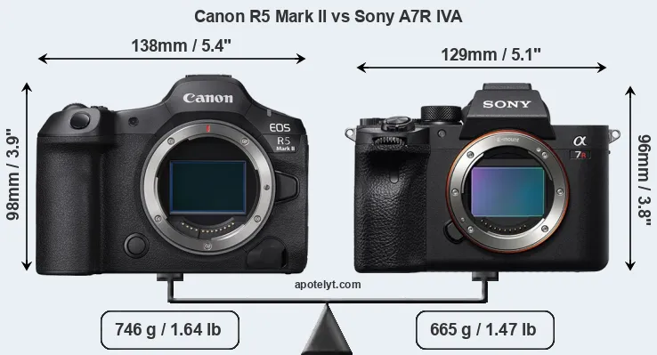 Size Canon R5 Mark II vs Sony A7R IVA