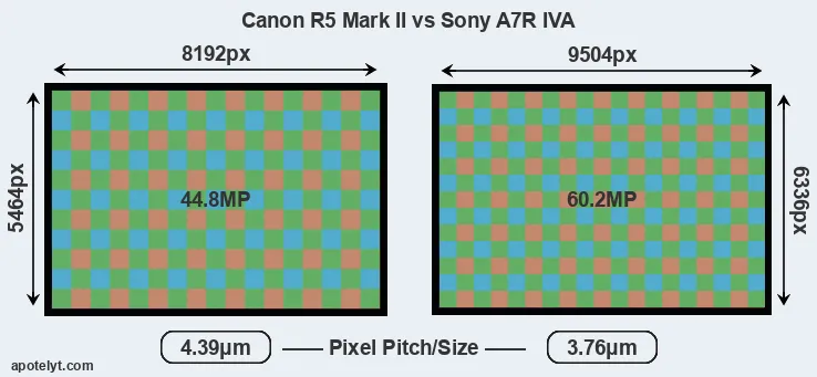 R5 Mark II versus A7R IVA MP