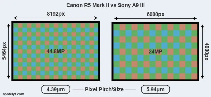 R5 Mark II versus A9 III MP