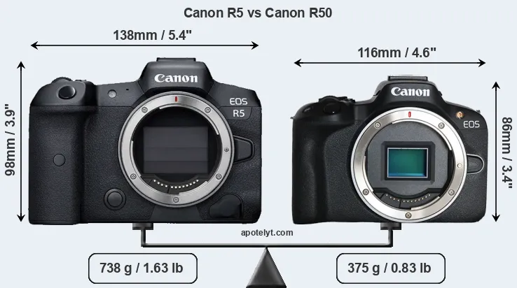 Size Canon R5 vs Canon R50