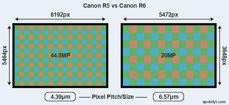 R5 versus R6 MP