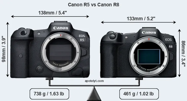 Size Canon R5 vs Canon R8