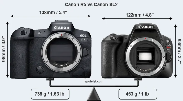 Size Canon R5 vs Canon SL2