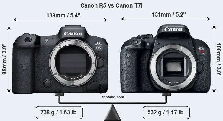 Size Canon R5 vs Canon T7i