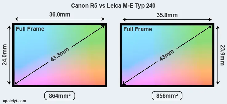 Canon R5 and Leica M-E Typ 240 sensor measures