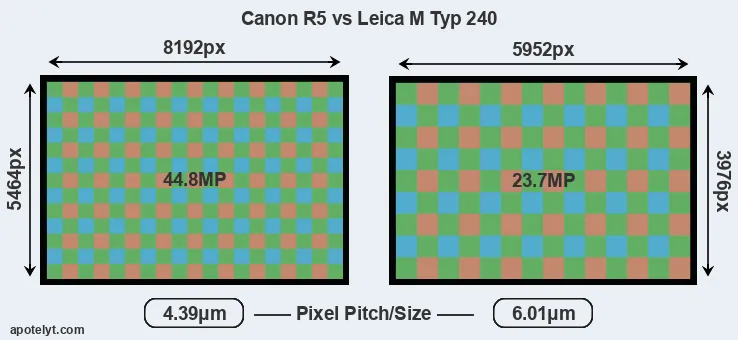R5 versus M Typ 240 MP