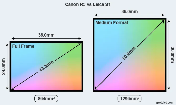 Canon R5 and Leica S1 sensor measures