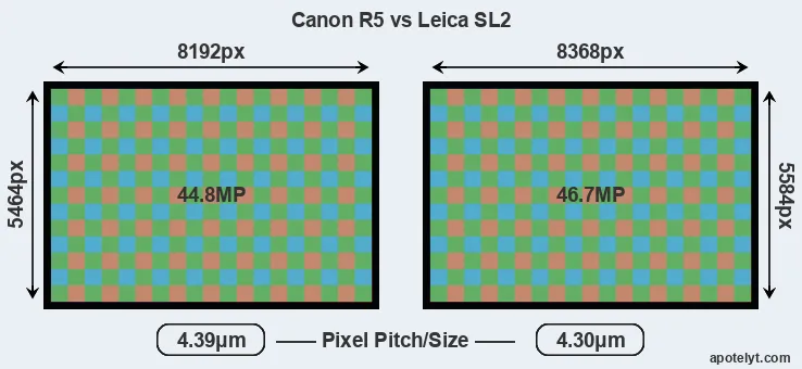 R5 versus Leica SL2 MP