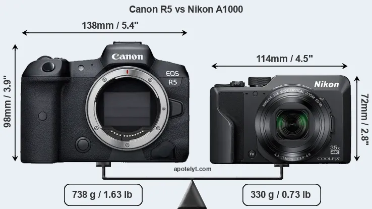 Size Canon R5 vs Nikon A1000