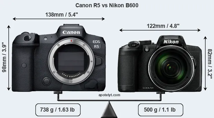 Size Canon R5 vs Nikon B600