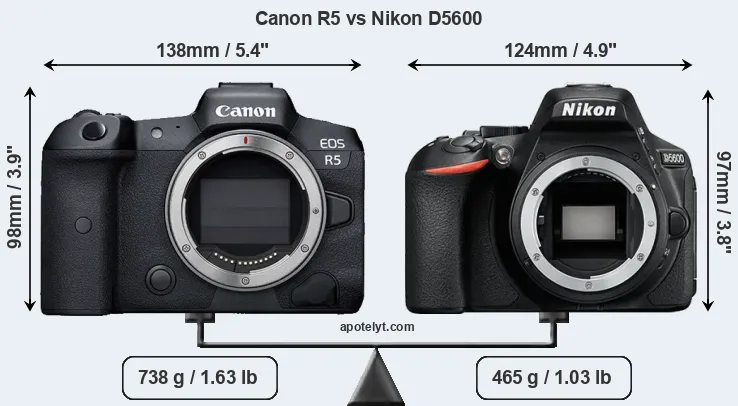 Size Canon R5 vs Nikon D5600