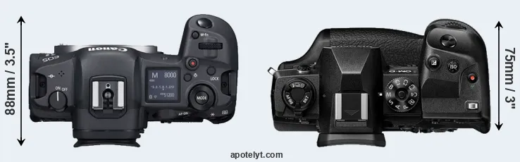 Compare R5 versus E-M1X top