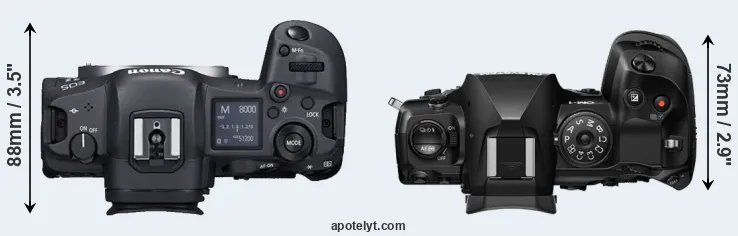 Compare R5 versus OM-1 II top