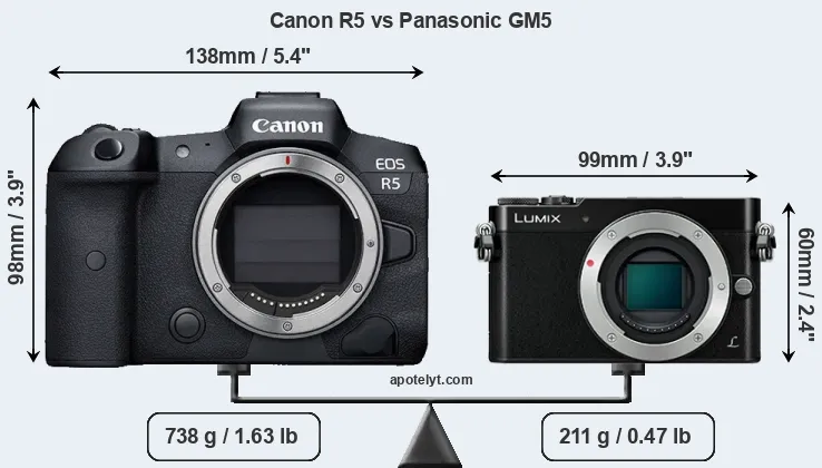 Size Canon R5 vs Panasonic GM5