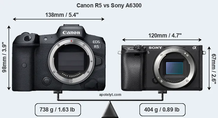 Size Canon R5 vs Sony A6300