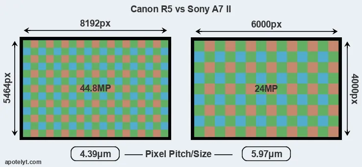 R5 versus A7 II MP