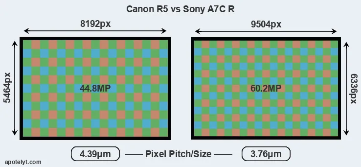 R5 versus A7C R MP
