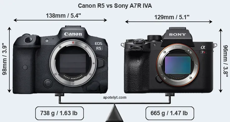 Size Canon R5 vs Sony A7R IVA