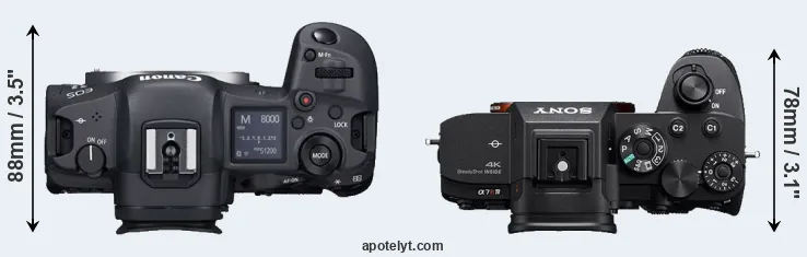 Compare R5 versus A7R IVA top