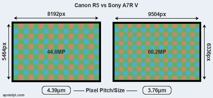 R5 versus A7R V MP