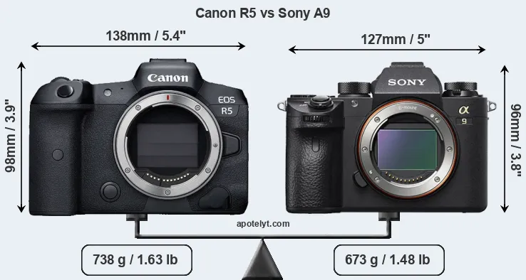 Size Canon R5 vs Sony A9