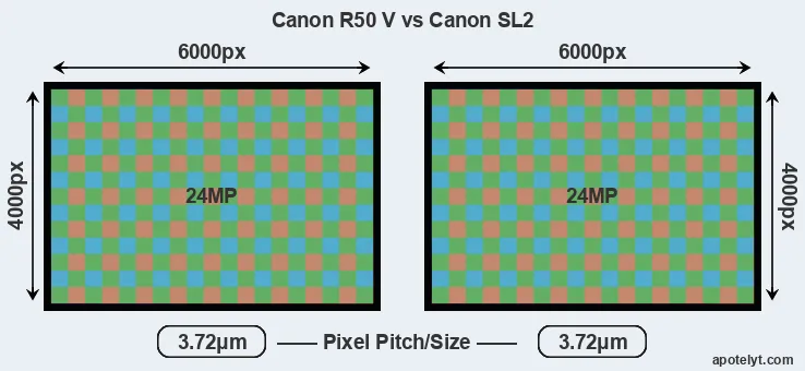 R50 V versus SL2 MP