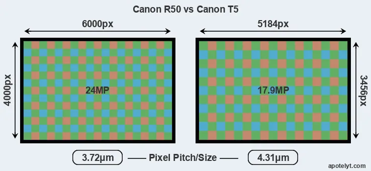 R50 versus T5 MP