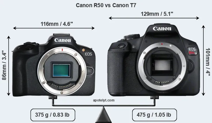 Size Canon R50 vs Canon T7