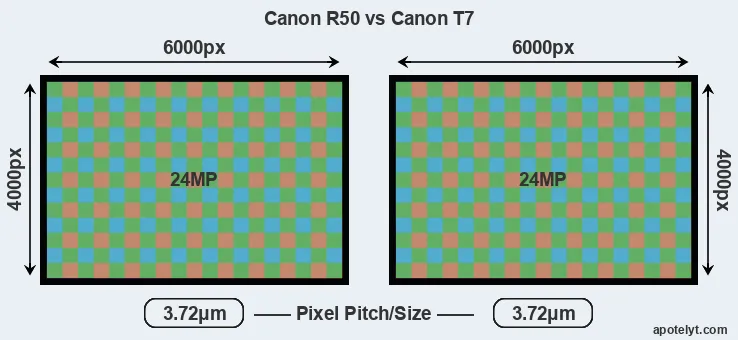 R50 versus T7 MP