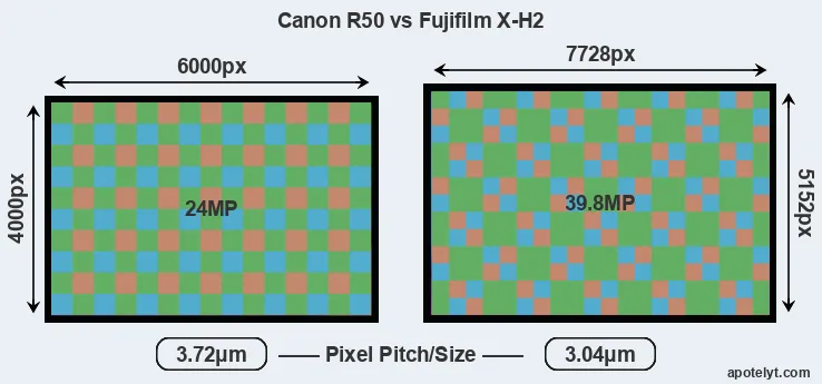 R50 versus X-H2 MP