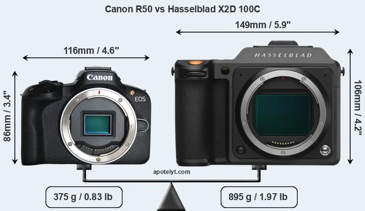 Size Canon R50 vs Hasselblad X2D 100C