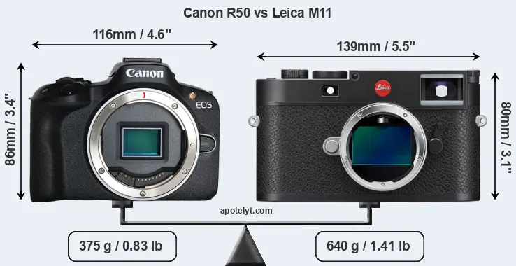 Size Canon R50 vs Leica M11