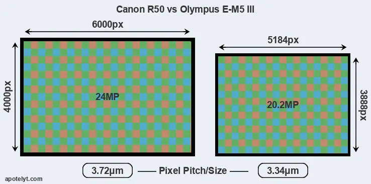 R50 versus E-M5 III MP