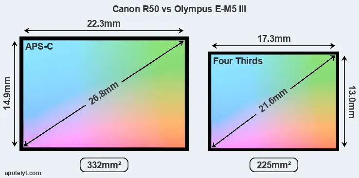 Canon R50 and Olympus E-M5 III sensor measures