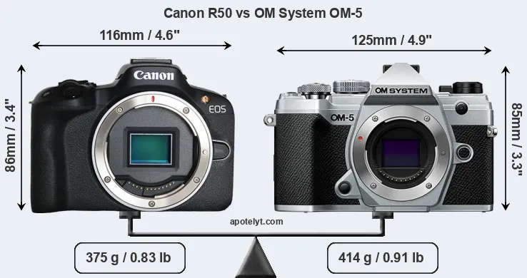 Size Canon R50 vs OM System OM-5