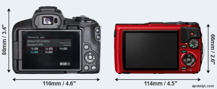 Comparison R50 or TG-7 rear