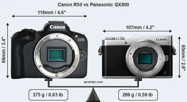 Size Canon R50 vs Panasonic GX800