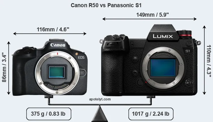 Size Canon R50 vs Panasonic S1