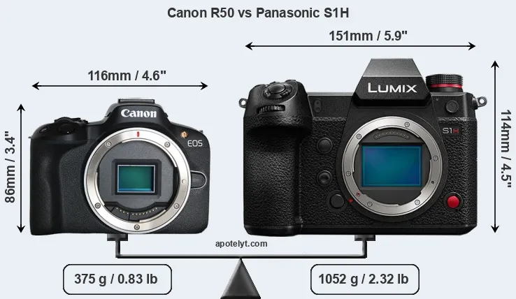 Size Canon R50 vs Panasonic S1H