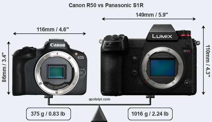 Size Canon R50 vs Panasonic S1R