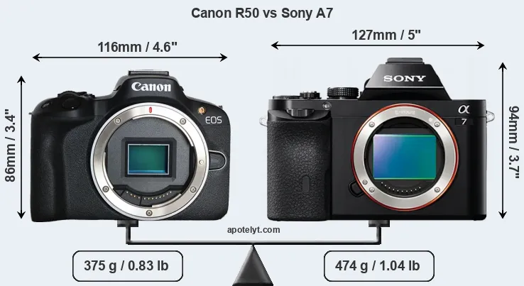 Size Canon R50 vs Sony A7