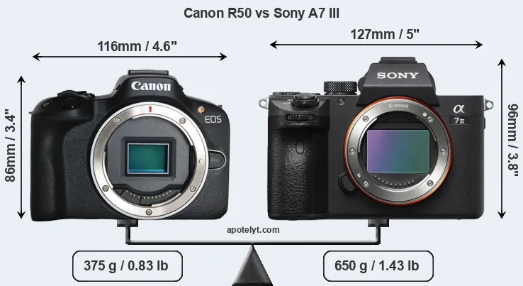 Size Canon R50 vs Sony A7 III