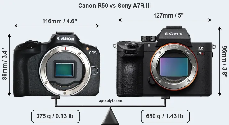 Size Canon R50 vs Sony A7R III